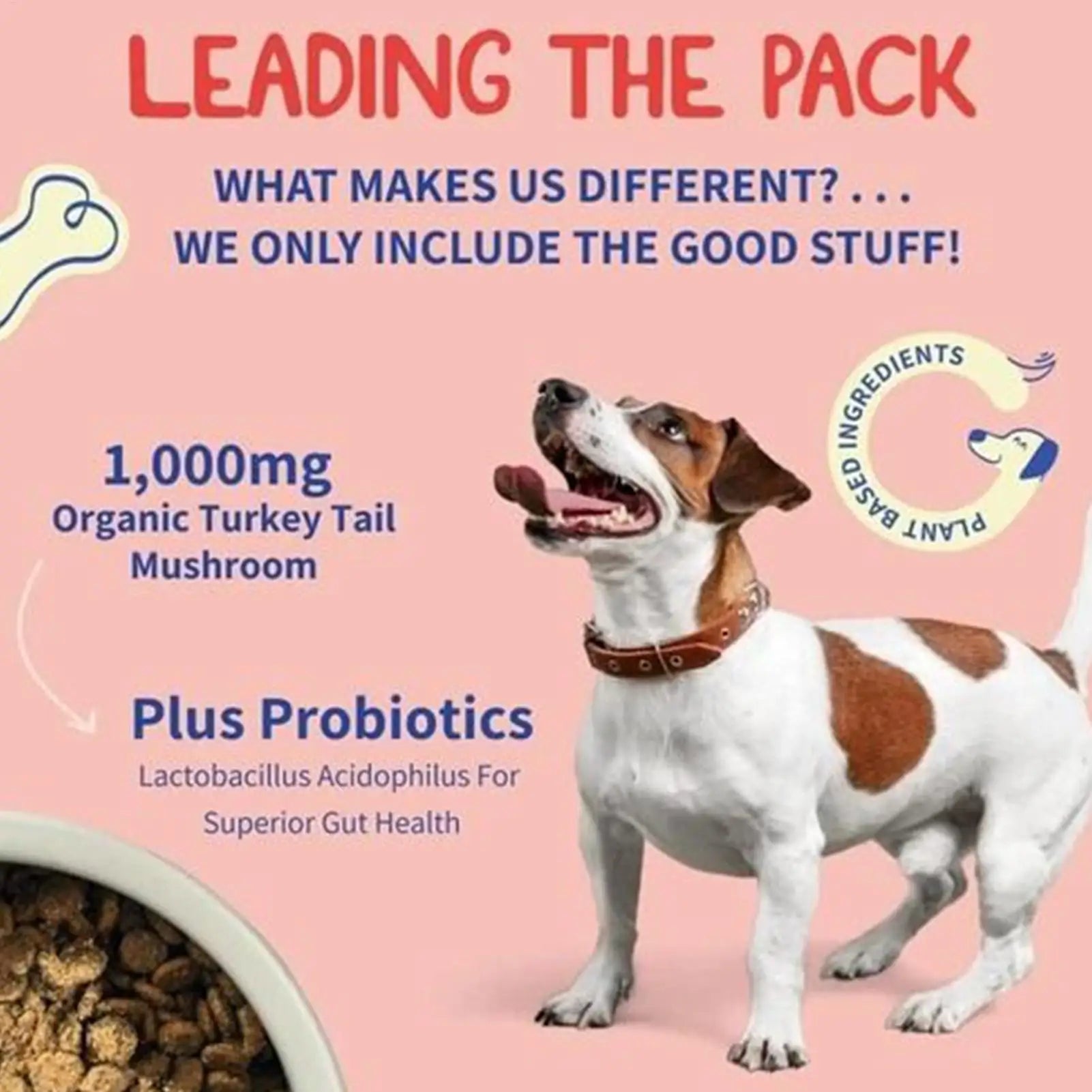 Dog intestinal flora regulation Dog Digestive Support Improved Digestion Supplement Pet Supplies for Puppy Travel Wellness