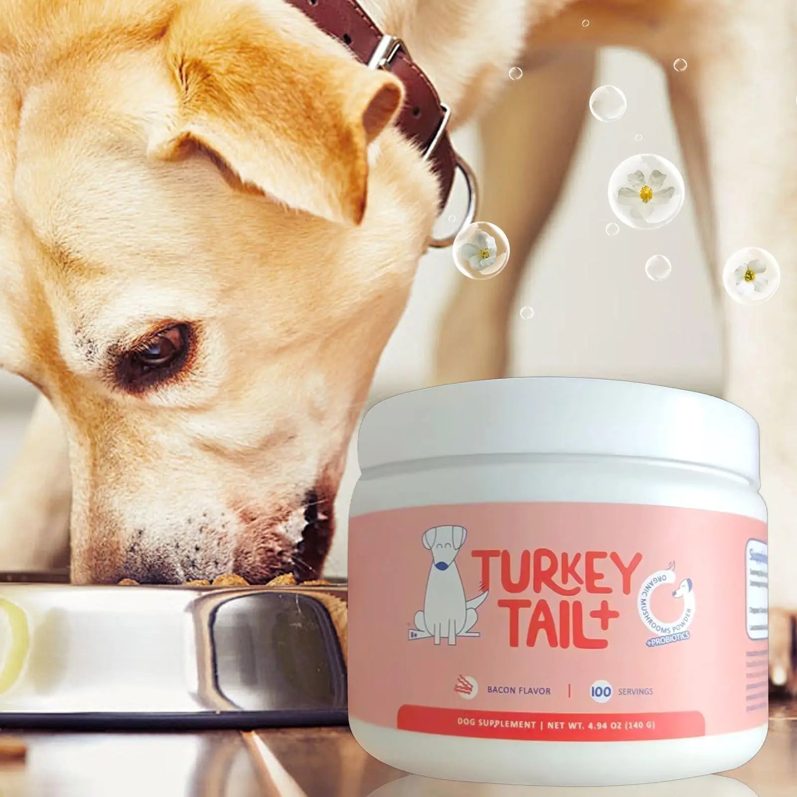 Dog intestinal flora regulation Dog Digestive Support Improved Digestion Supplement Pet Supplies for Puppy Travel Wellness